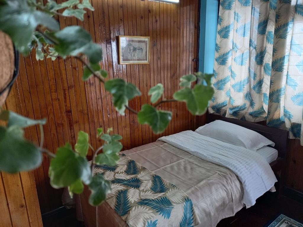 Postel nebo postele na pokoji v ubytování West Point Backpackers Hostel
