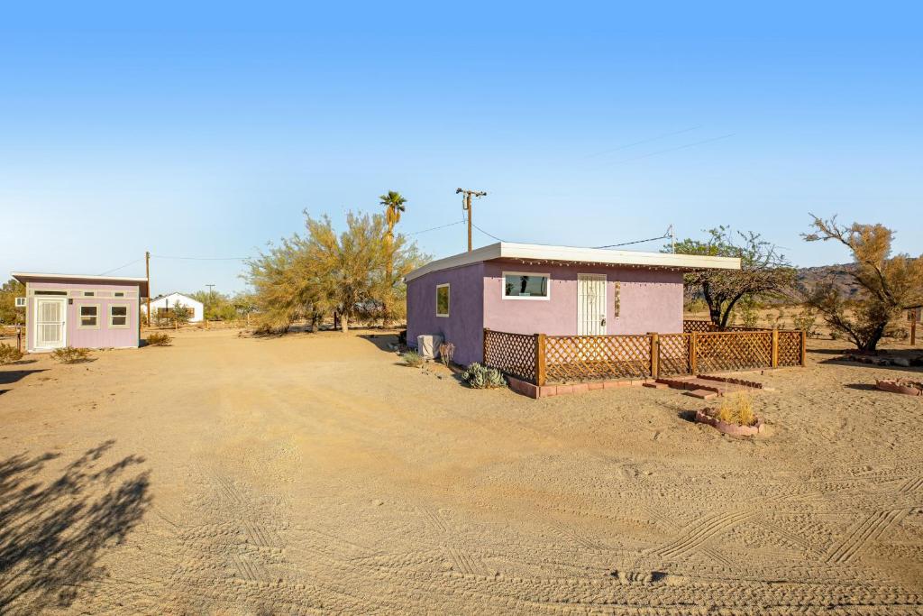 Purple Homesteader