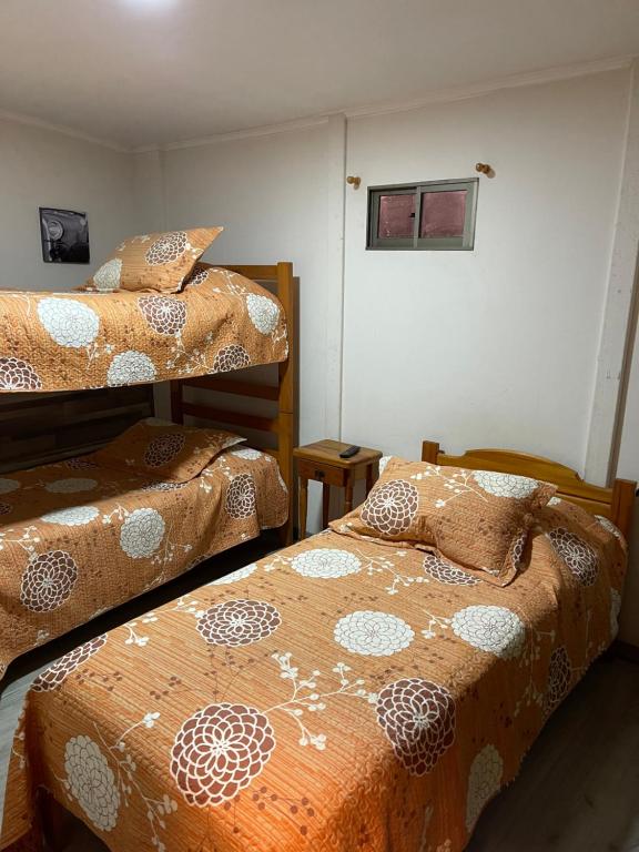 Postel nebo postele na pokoji v ubytování Hostal Los Salares