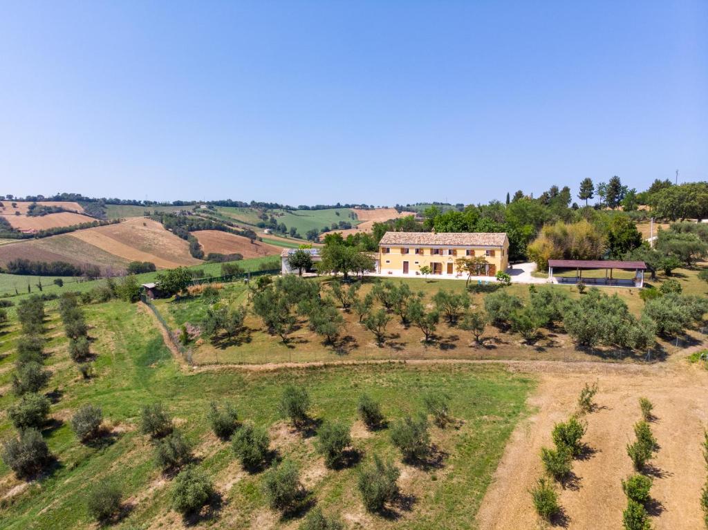 Historic farmhouse on the hills a step away from the seaside of Senigallia