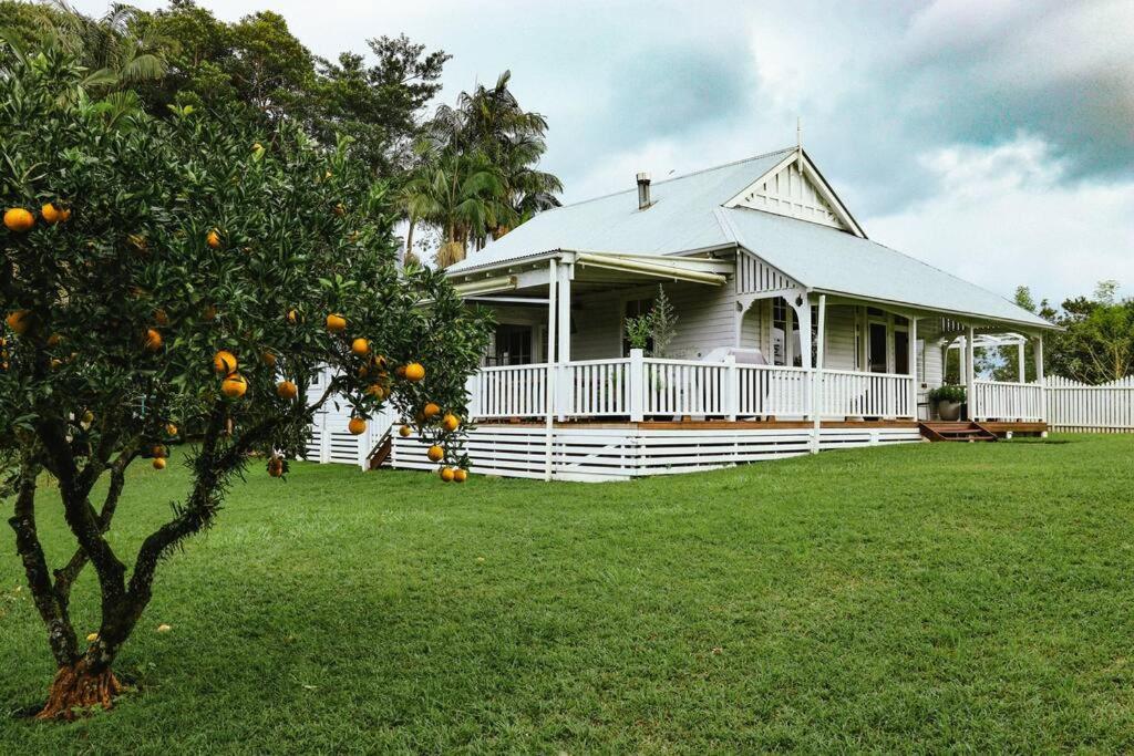 Circa a 1930s house set in Byron Bay Hinterlands - Hizvo