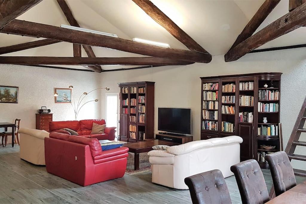 salon z kanapami, telewizorem i książkami w obiekcie Grande maison familiale avec piscine couverte w mieście Lespignan