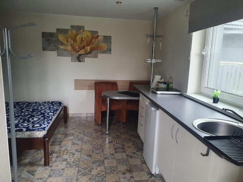 Kuchyň nebo kuchyňský kout v ubytování Guest house Kajaki-Ragaciems
