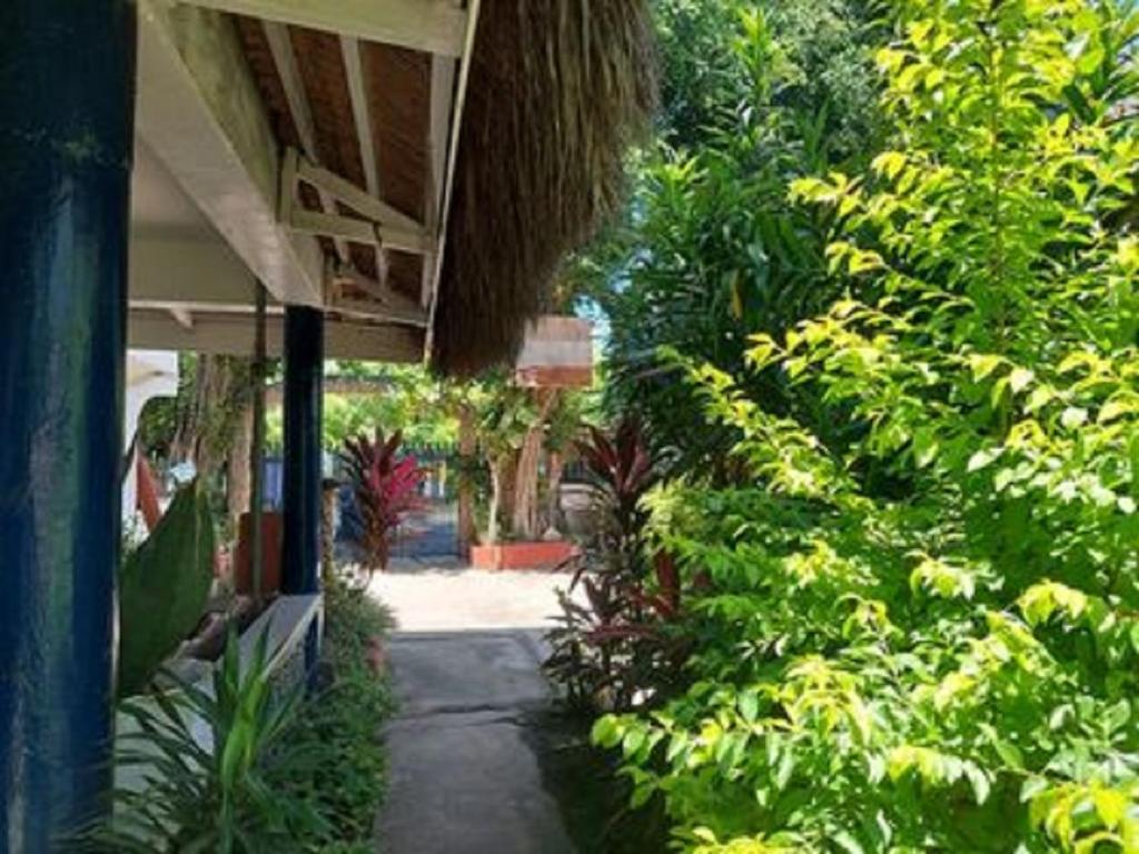 Un jardín fuera de Stevrena Accommodations
