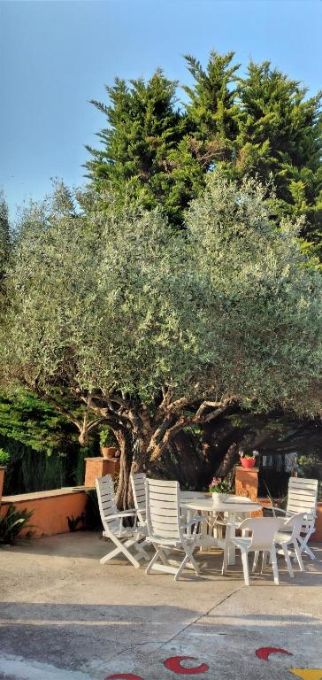 A garden outside Casa rural Cal Fuster Experience