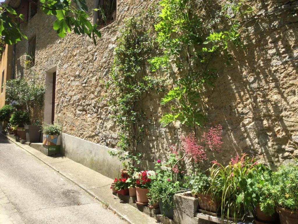 Photo de la galerie de l'établissement Le gite de l'impassiflore, à Méounes-lès-Montrieux