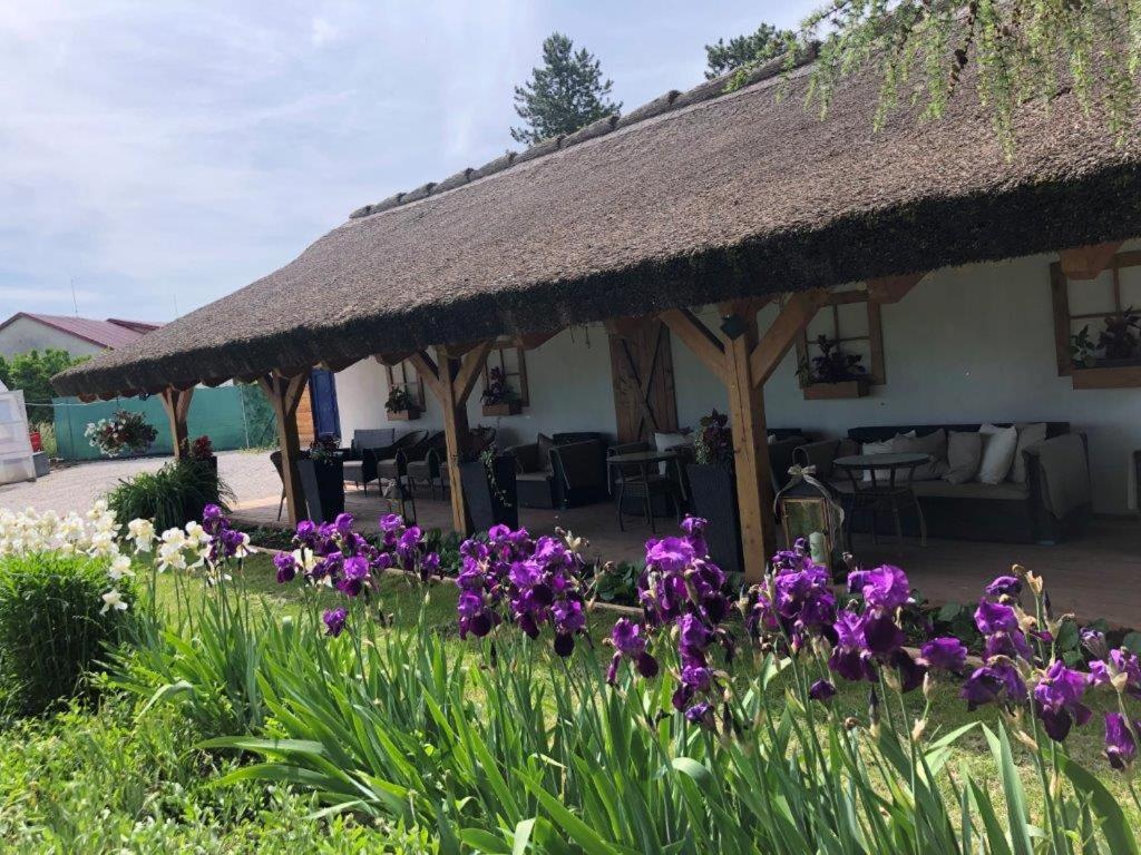 Zahrada ubytování Hotel Mlyn