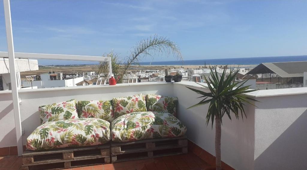 a couch sitting on a balcony with a palm tree at La Triniá in Conil de la Frontera