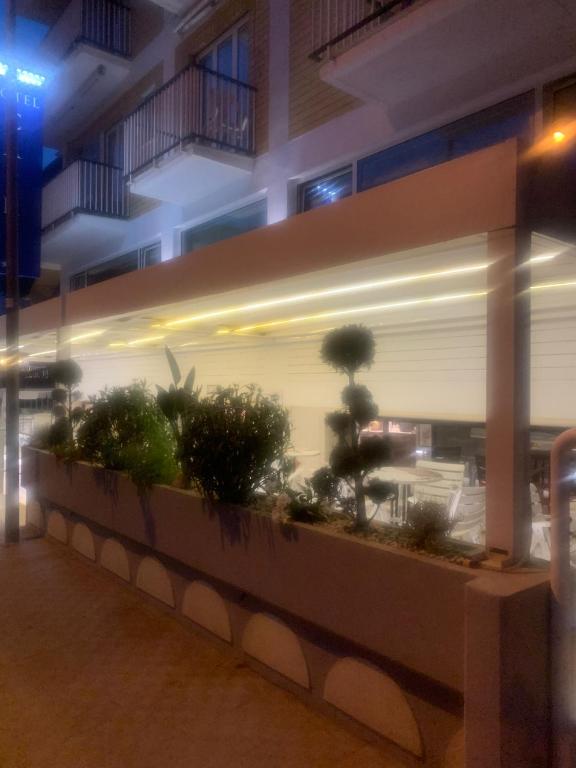 Kép Hotel Capri szállásáról San Benedetto del Trontóban a galériában