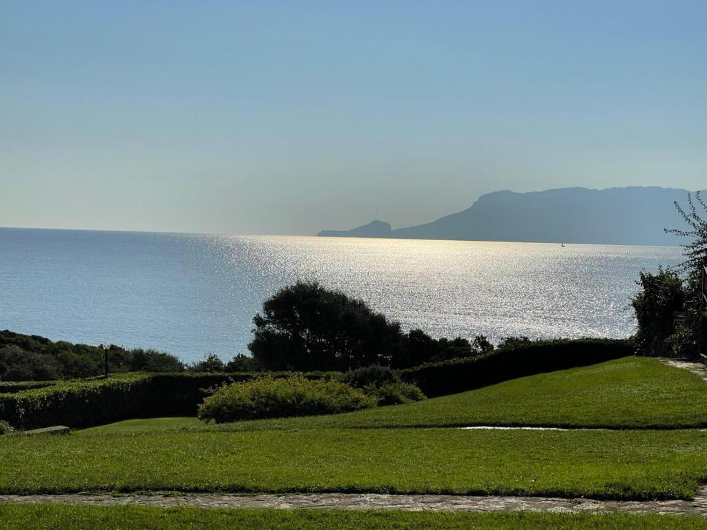 uma colina relvada com o oceano ao fundo em Bados affaccio sul mare em Olbia
