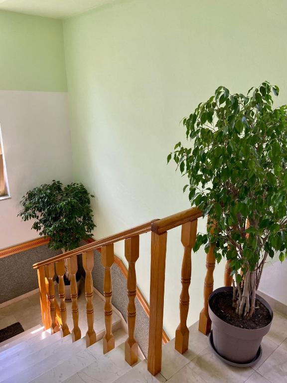 Fotografie z fotogalerie ubytování Portum rooms v destinaci Zadar
