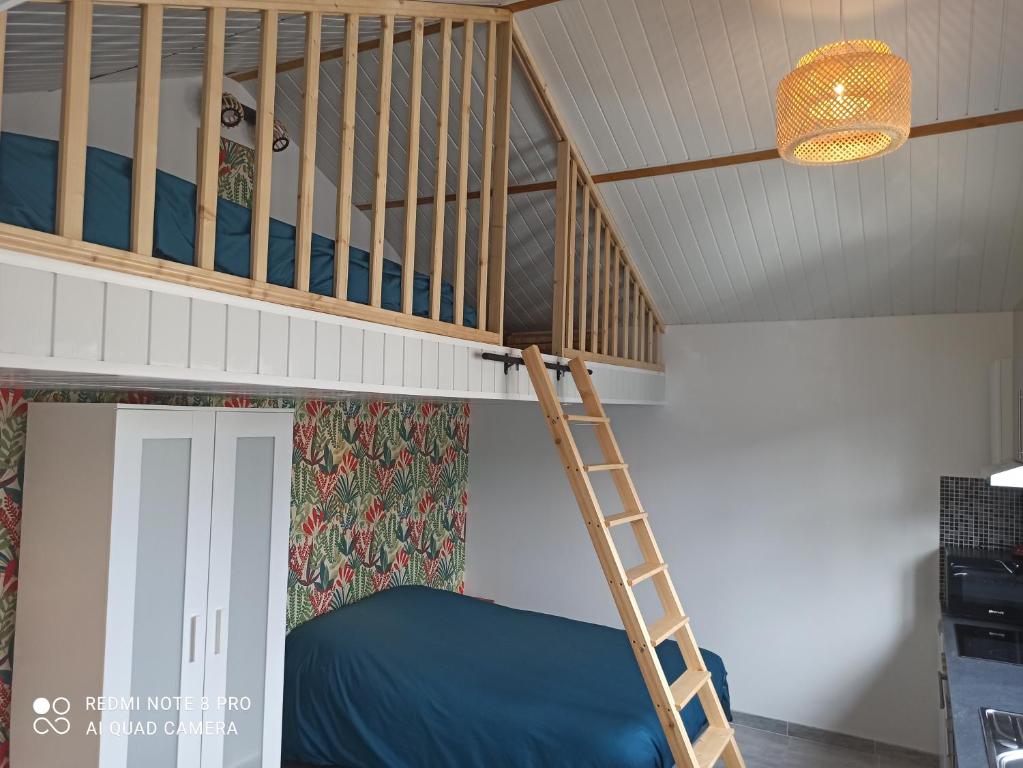 Etagenbett mit Leiter in einem Zimmer in der Unterkunft Maisonnette indépendante 4 personnes jardin terrasse in Vrigne-aux-Bois