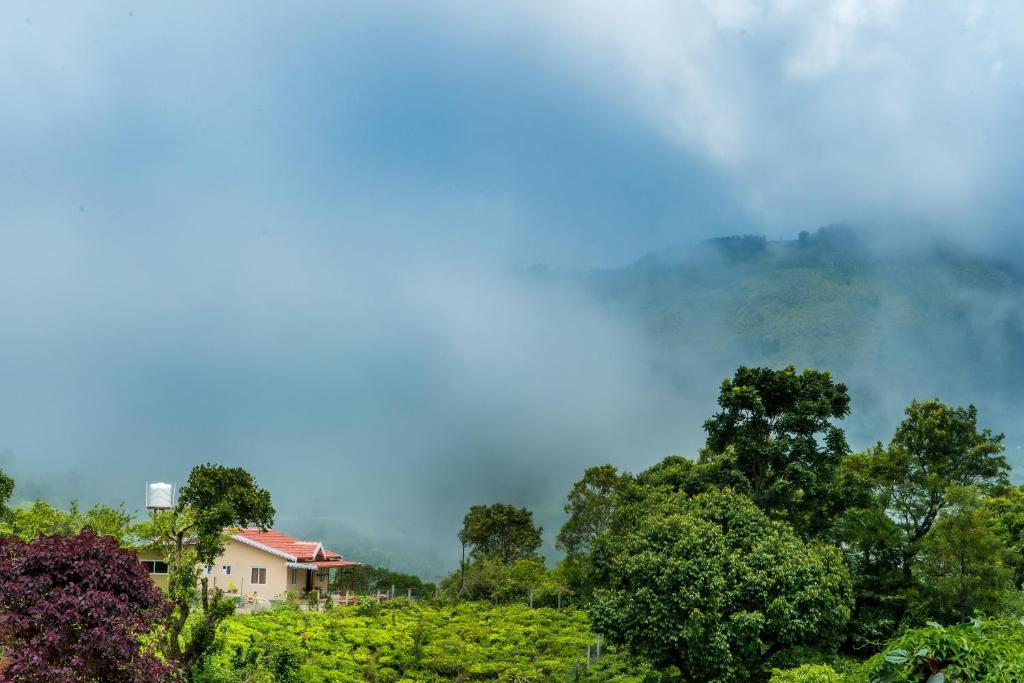 a house in the middle of a field of trees at Biosphere in Coonoor