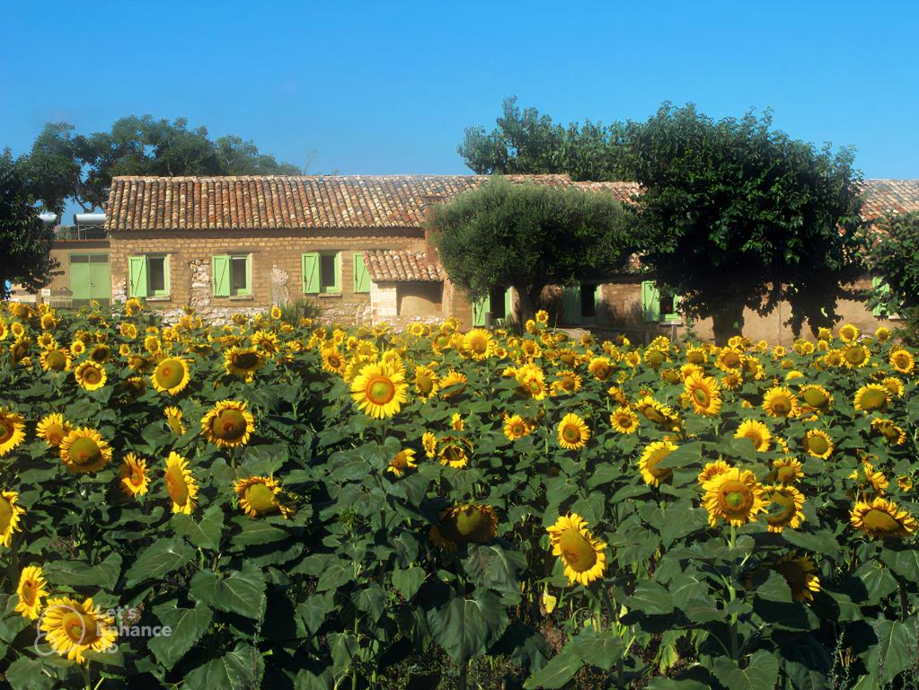Zahrada ubytování Il Canto di Kokopelli Country Houses