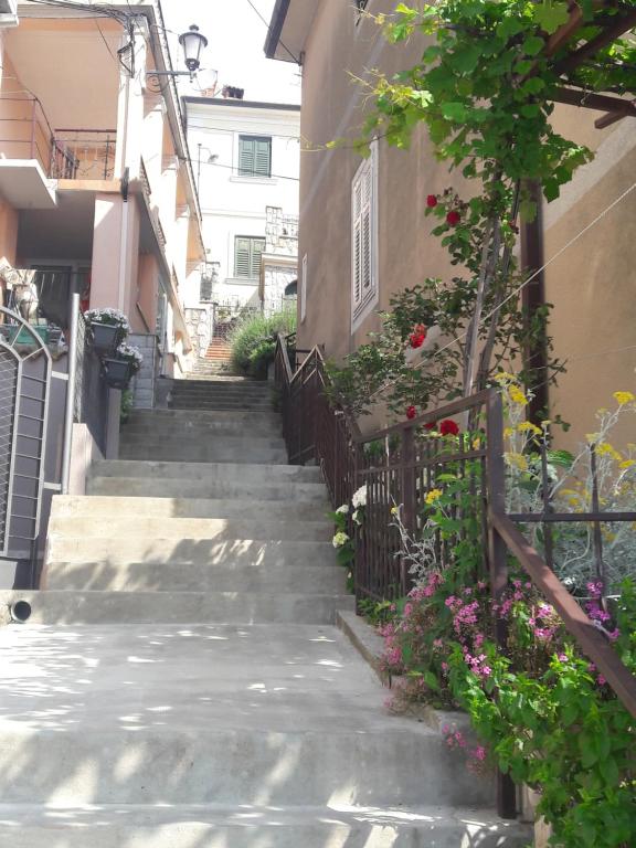 Okolie apartmánu