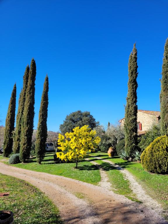 Zahrada ubytování Agriturismo Podere Prataccio