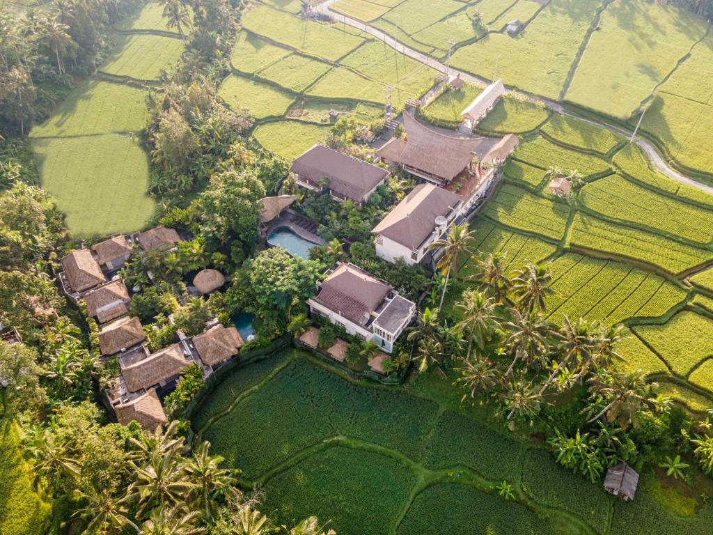 una vista aérea de una casa en un campo en The Sun of Granary Resort and Villas, en Ubud