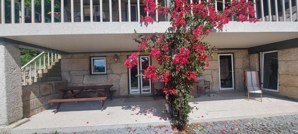 a tree covered in red flowers in front of a building at Casas da Tapada Briteiros Casa das Cortes in Guimarães