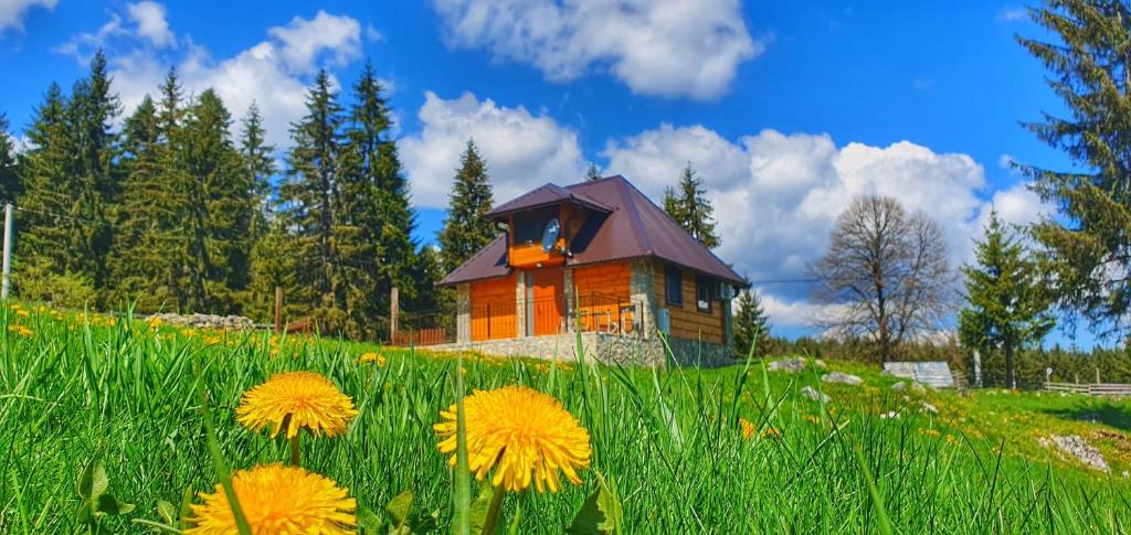a house on a hill in a field of flowers at Apartmani Nišićka Oaza in Sarajevo