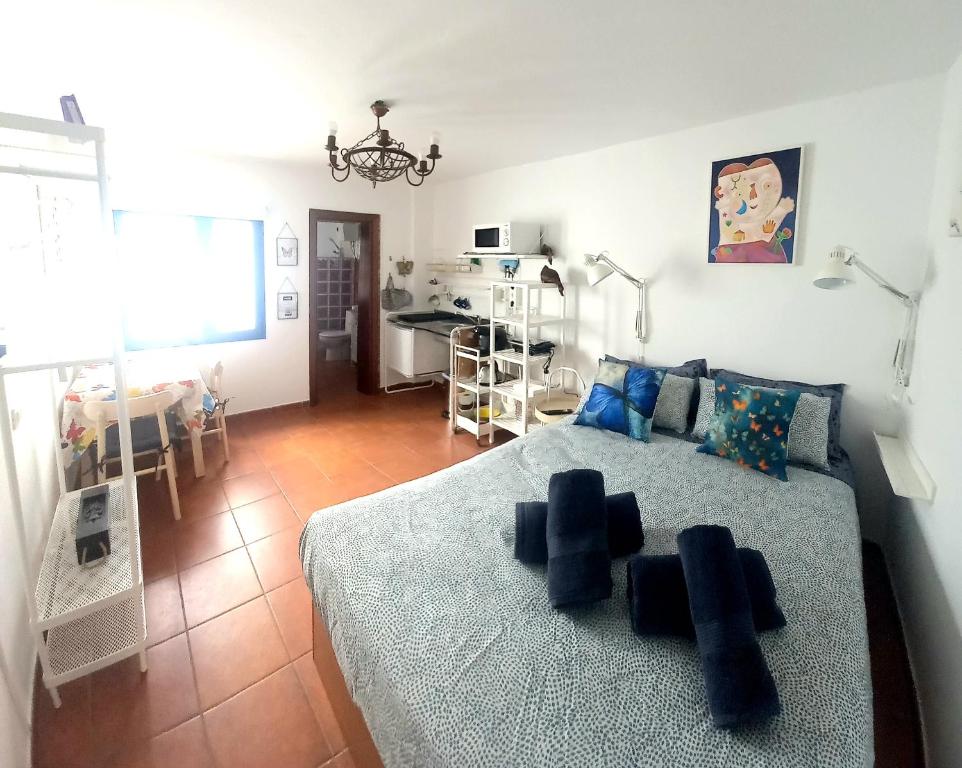 een slaapkamer met een bed met blauwe kussens erop bij Casa Pescado y mariposas in Arrecife