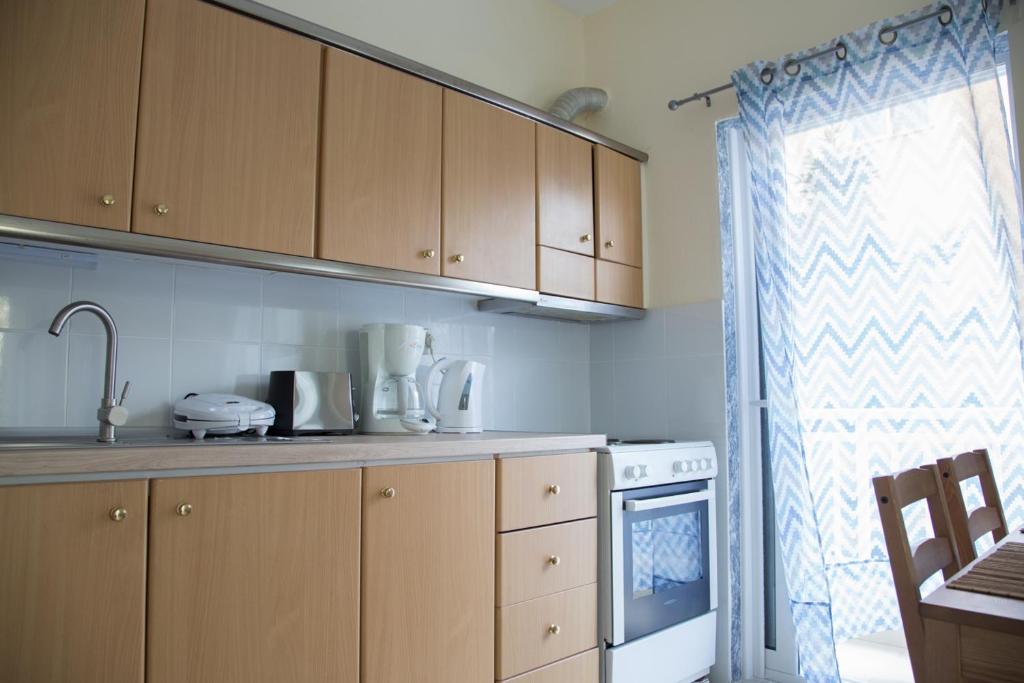 A kitchen or kitchenette at Blue Theros Apartments