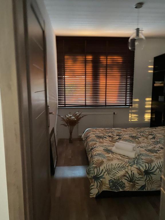 Fotografie z fotogalerie ubytování Dyrekcyjna Apartment ve Vratislavi