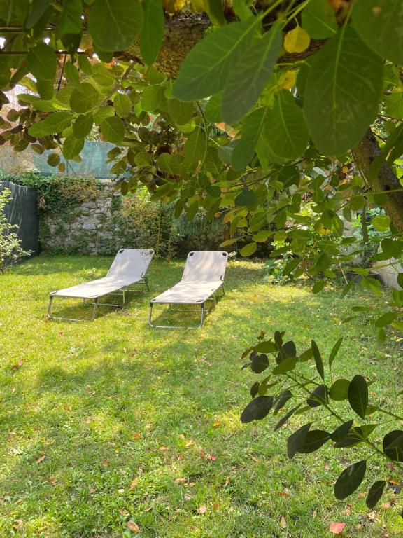 dos sillas sentadas en la hierba bajo un árbol en Il Giardino Segreto Sulzano, en Sulzano