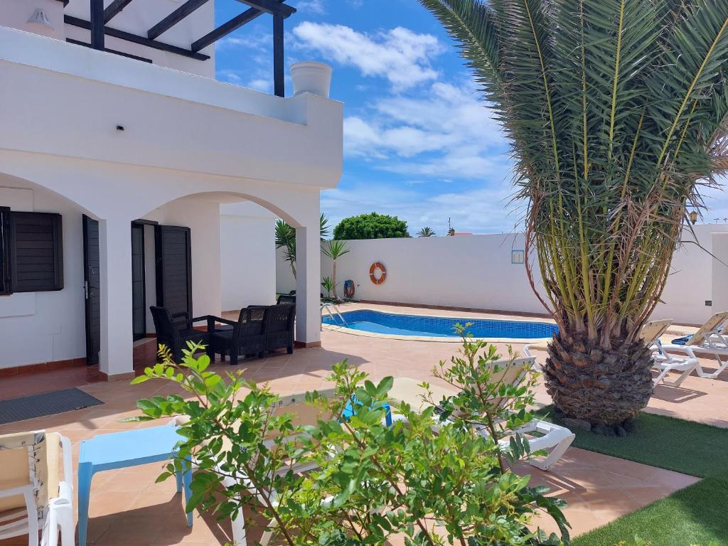 a view of a villa with a palm tree at Villa Real Oliva in Corralejo
