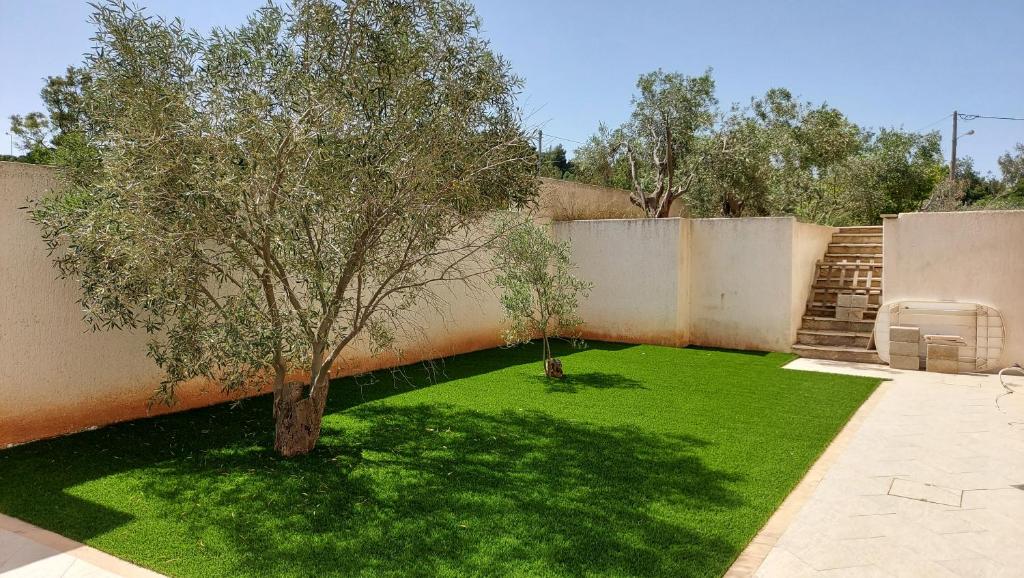 a garden with a tree and a wall at Gianni & Sophia airport house in Artemida