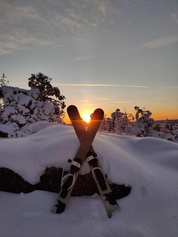 a pair of skis sitting in the snow at sunset at Aava Sky Village in Aavasaksa