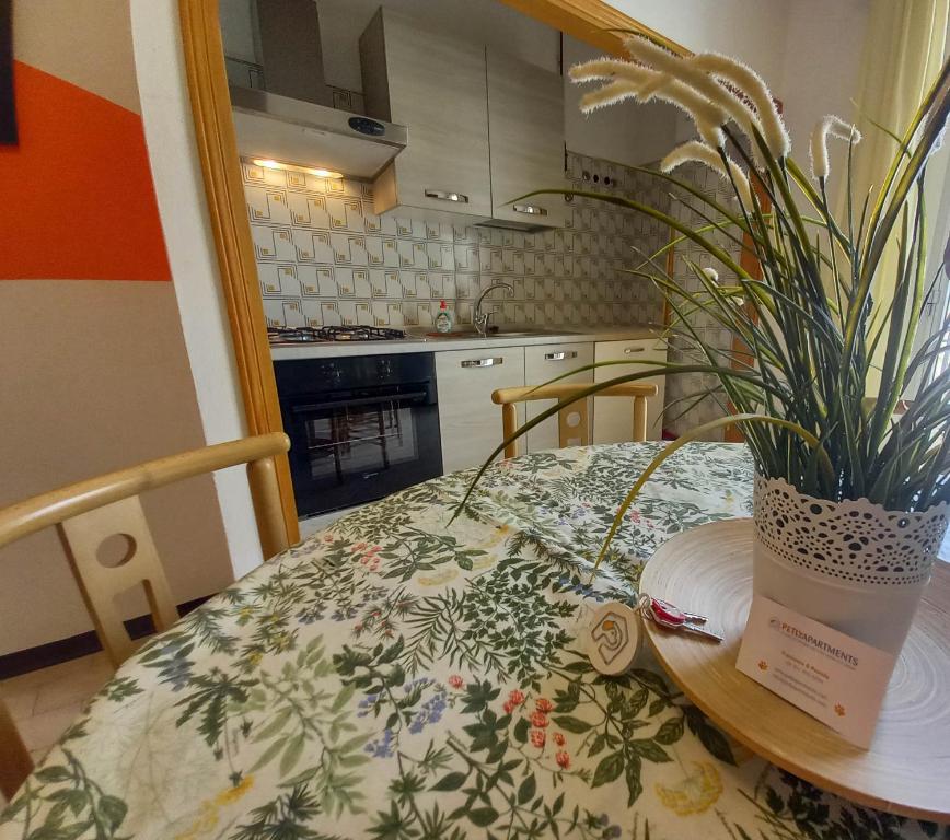 A kitchen or kitchenette at PetlyApartments