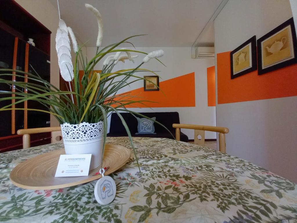 A bed or beds in a room at PetlyApartments