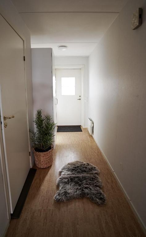 Fotografie z fotogalerie ubytování Frost Longstay Sundellsgatan 3 C v destinaci Haparanda