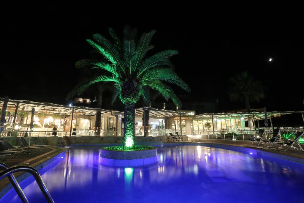 a palm tree in the middle of a pool at night at Anna Maria Paradise in Pefkochori