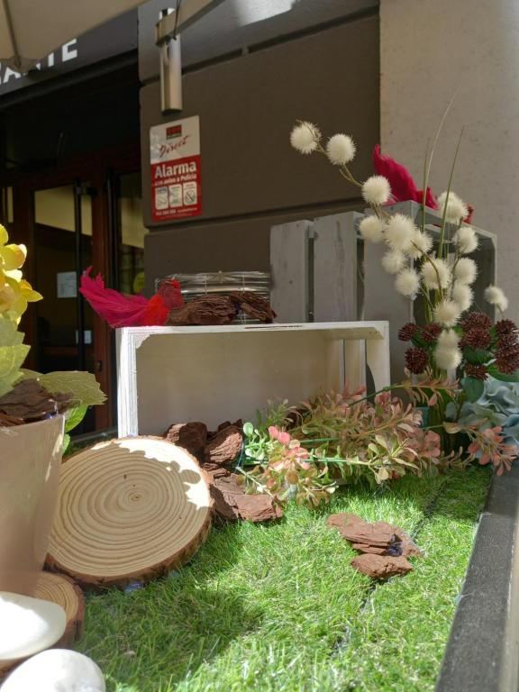 Fotografie z fotogalerie ubytování Hotel El Acebo v destinaci Jaca