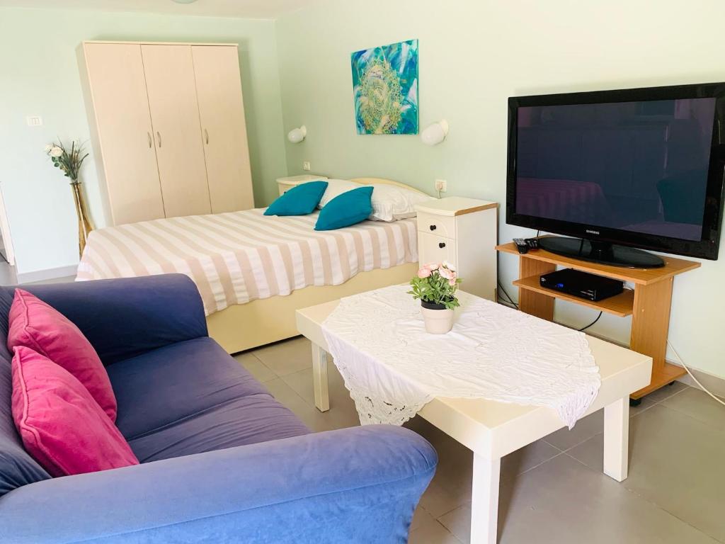 TV a/nebo společenská místnost v ubytování Tamar's House