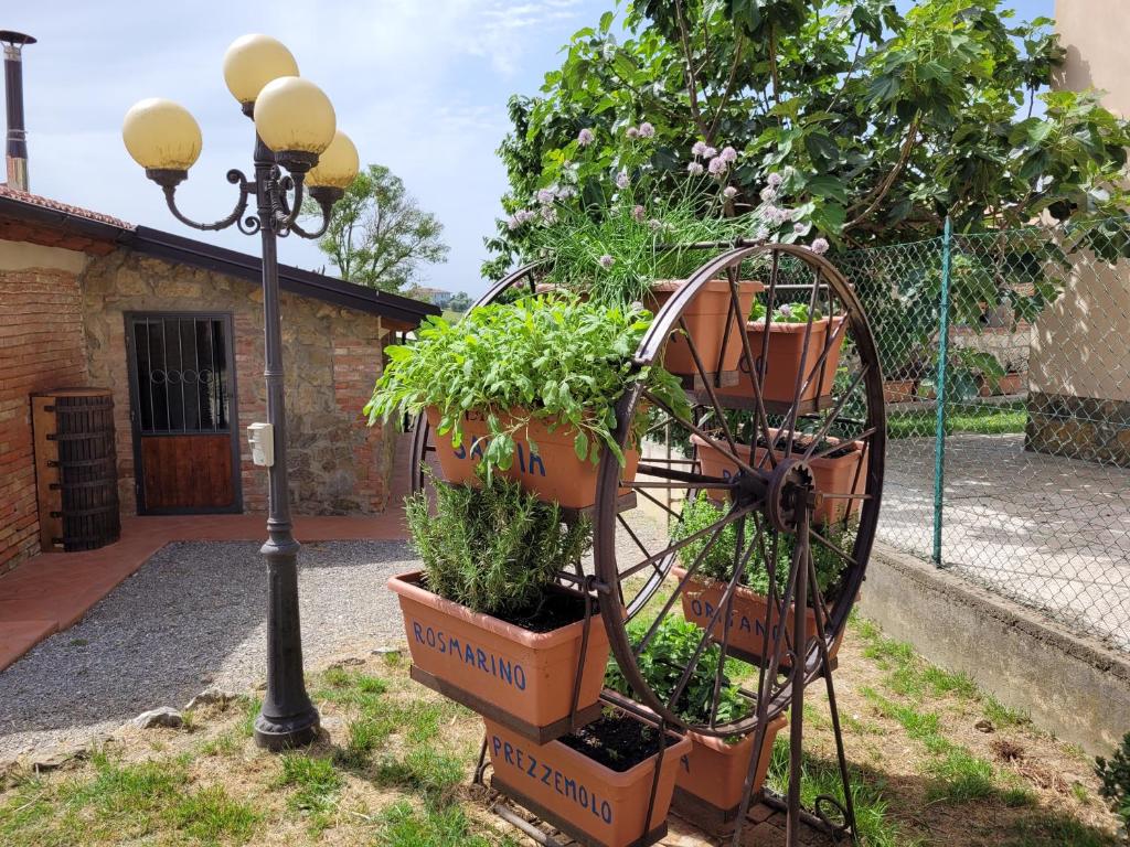 Zahrada ubytování Il Casale di Lucullo