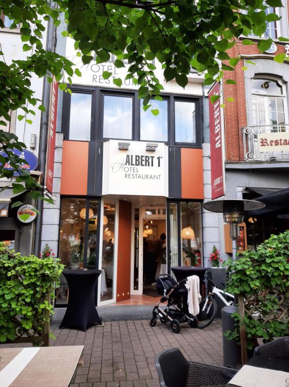 Albert 1er – Photos 1
