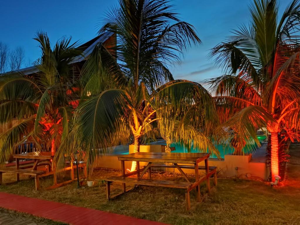 Zahrada ubytování Glamping Alona