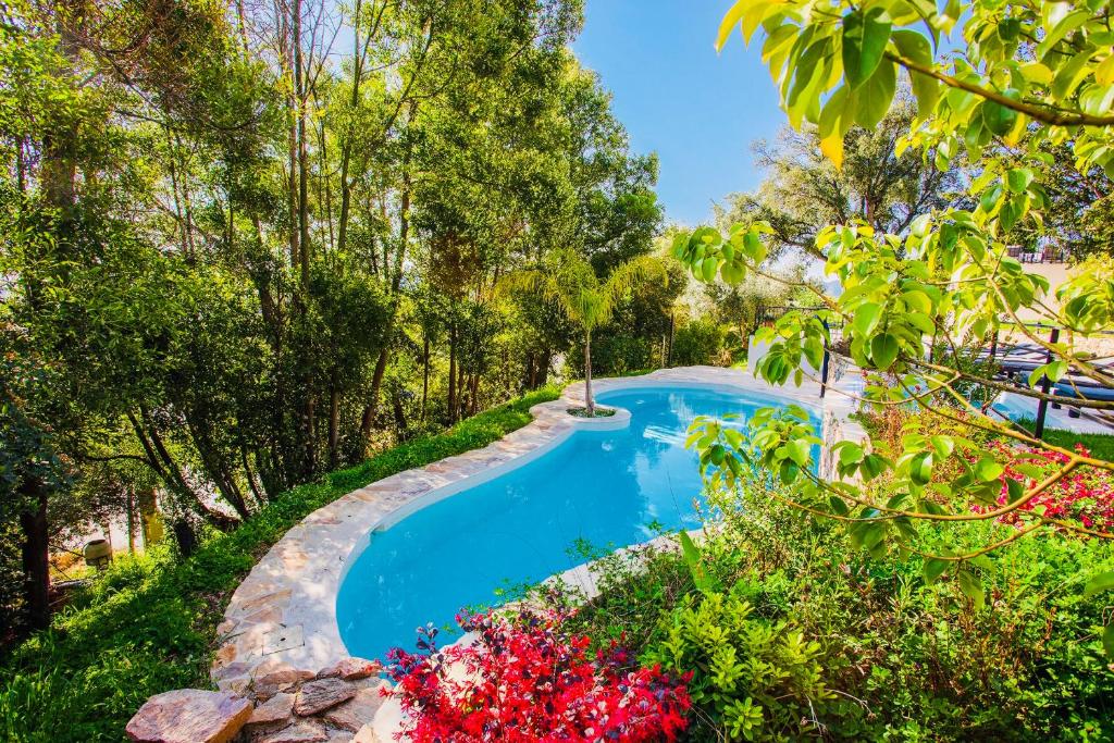 Villa Les Roches - 