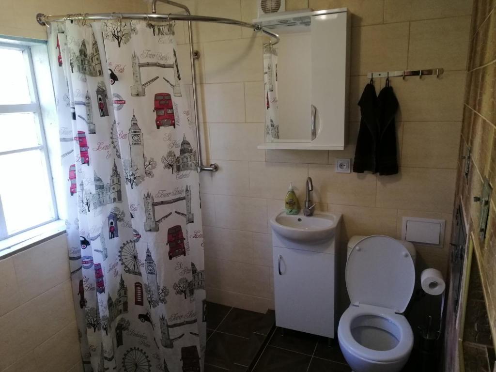 a bathroom with a toilet and a sink and a shower curtain at У Катерини in Dvozhets