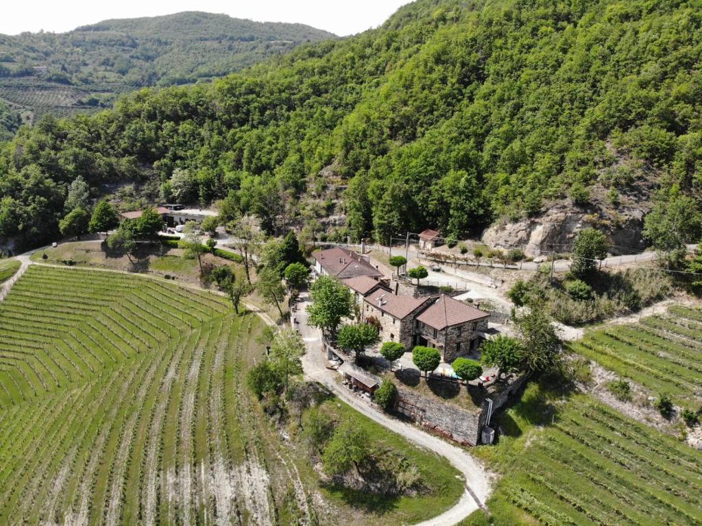 an aerial view of a house in a vineyard at Cascina Bertolotto Wine Resort in Spigno Monferrato