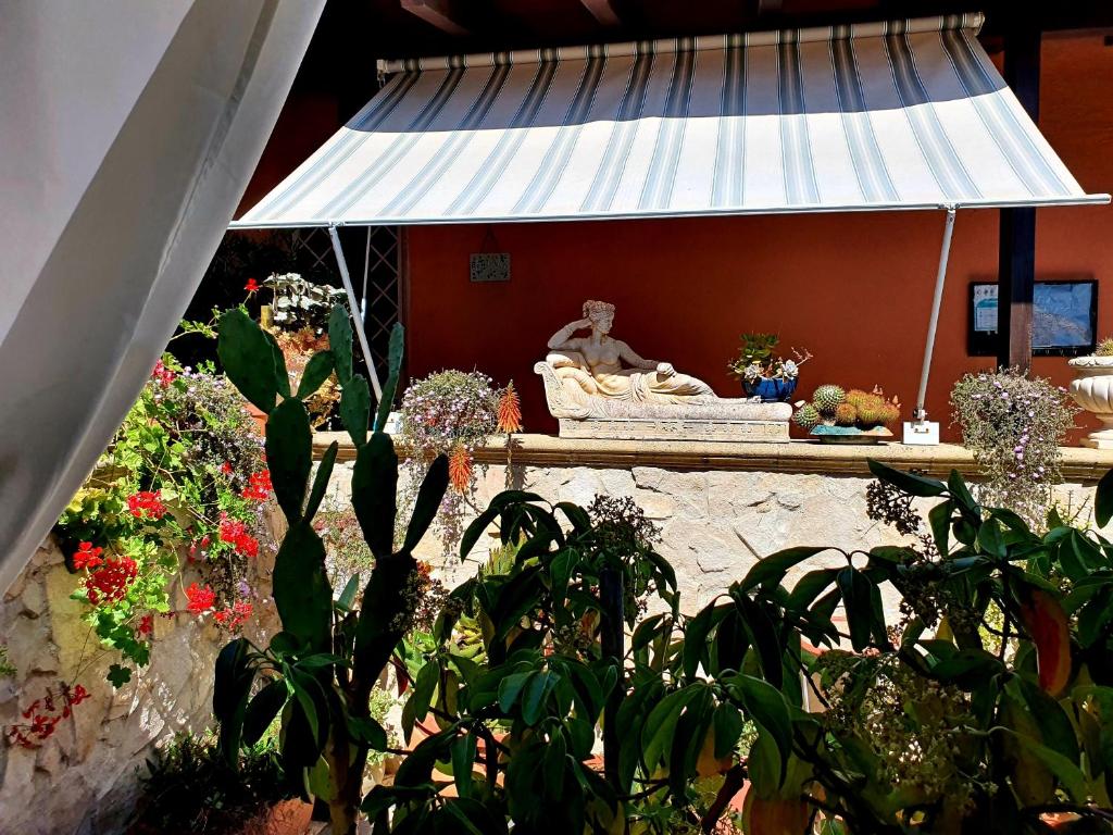 ポルト・チェザーレオにあるSalento - A Casa di Lilliの庭園内の花植物展示