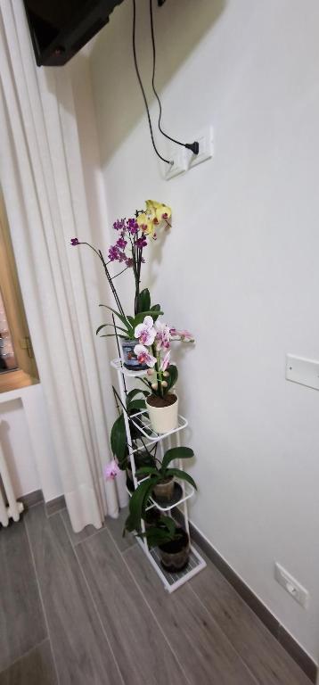 Televízia a/alebo spoločenská miestnosť v ubytovaní Orchidea