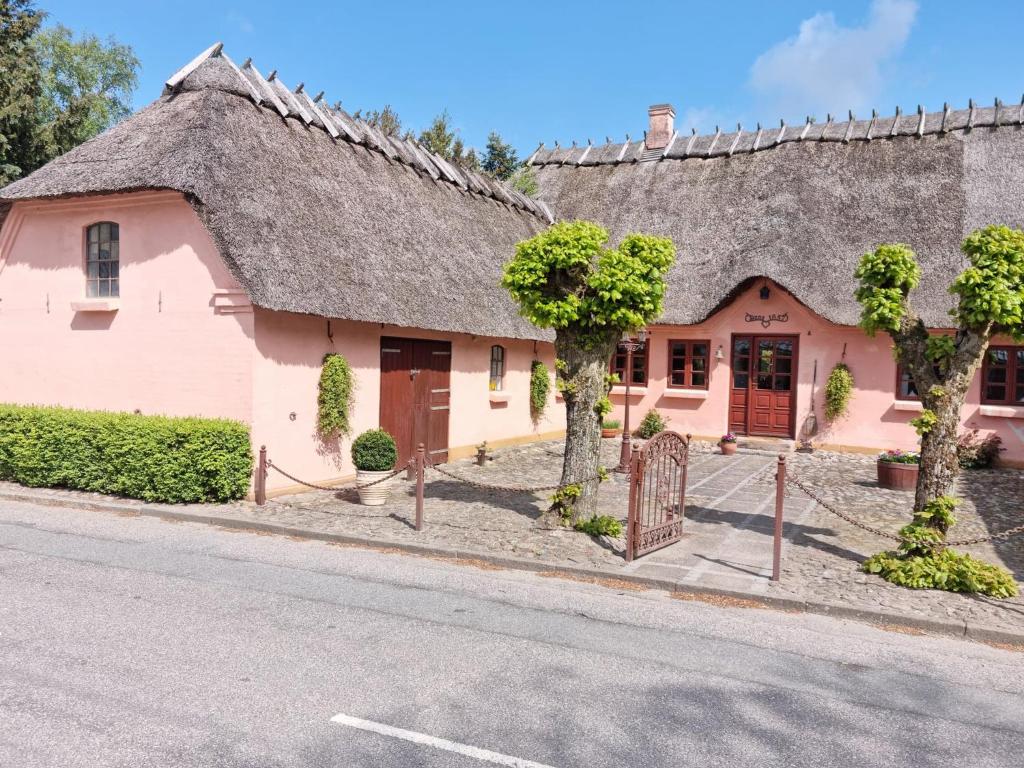 Årup的住宿－Liebhaveri i særklasse，一条街上有茅草屋顶的粉红色房子