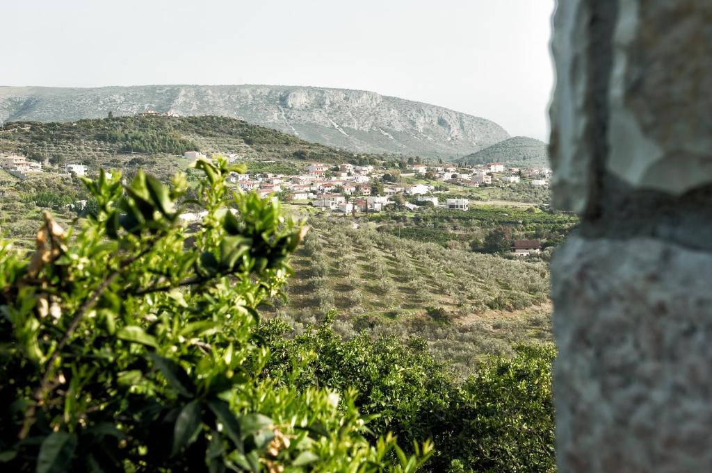 Perivoli Country Hotel & Retreat - 8