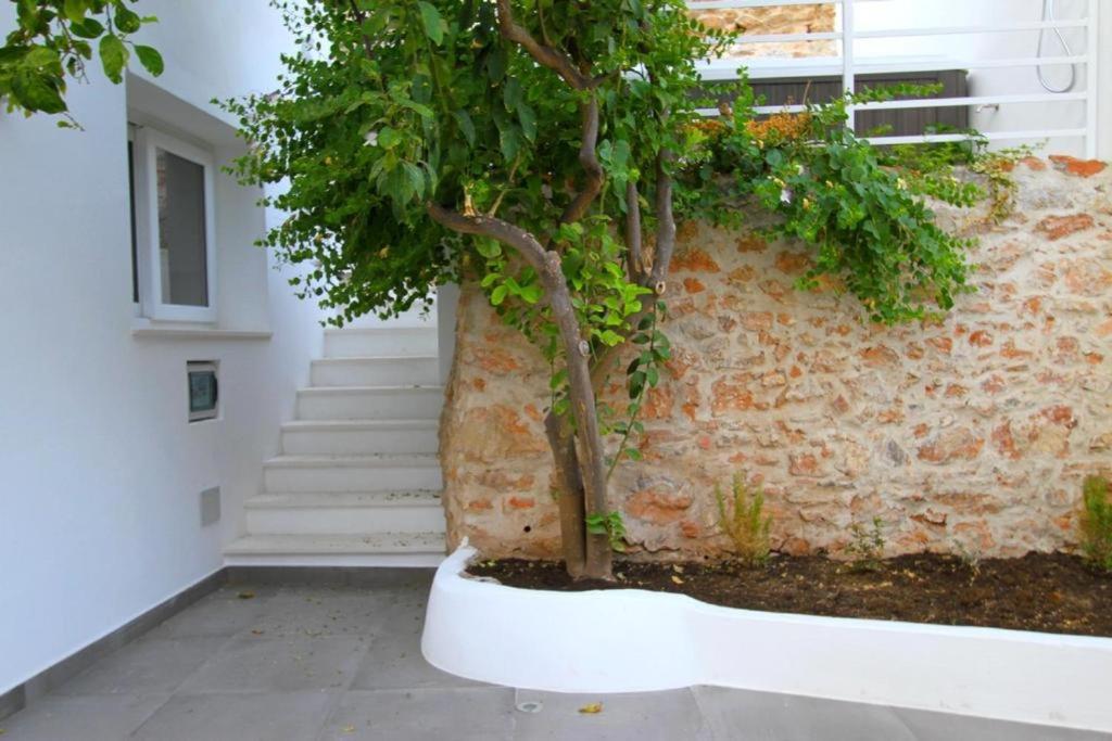 Zahrada ubytování Casa Leone