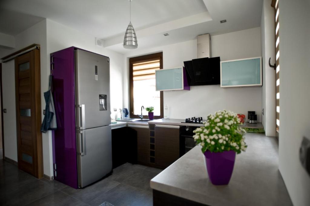 Kuchyňa alebo kuchynka v ubytovaní Villa Comfort