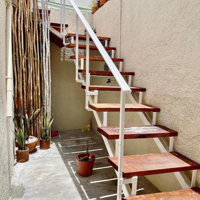 Foto da galeria de Itzé Hostel em Isla Mujeres