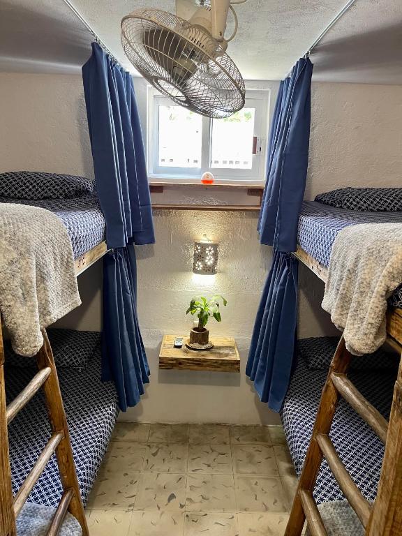 Foto da galeria de Itzé Hostel em Isla Mujeres